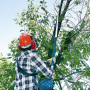 Бензопила-высоторез MAKITA EY2650H25H